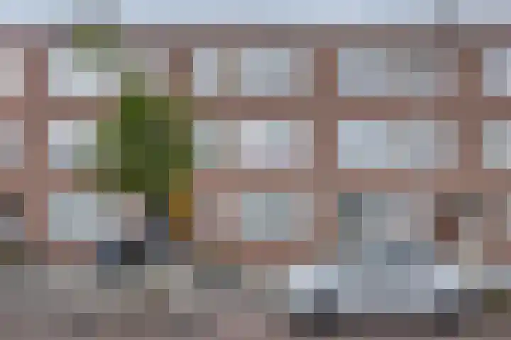 Katendrechtse Lagedijk 53 B Rotterdam thumbnail 6