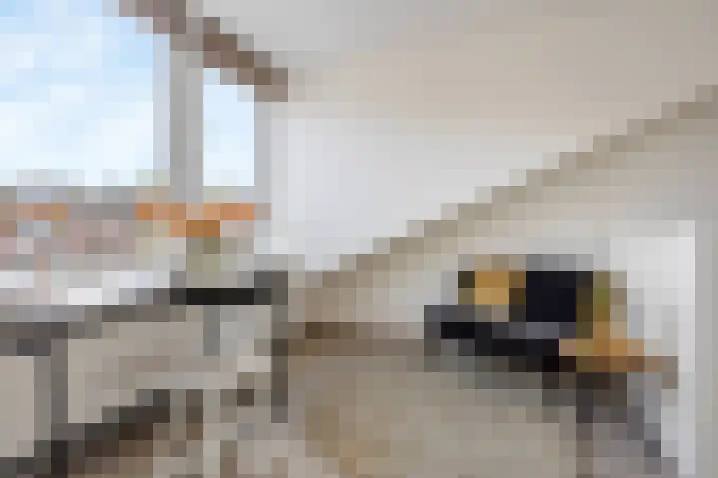 Katendrechtsestraat 68 Rotterdam thumbnail 36