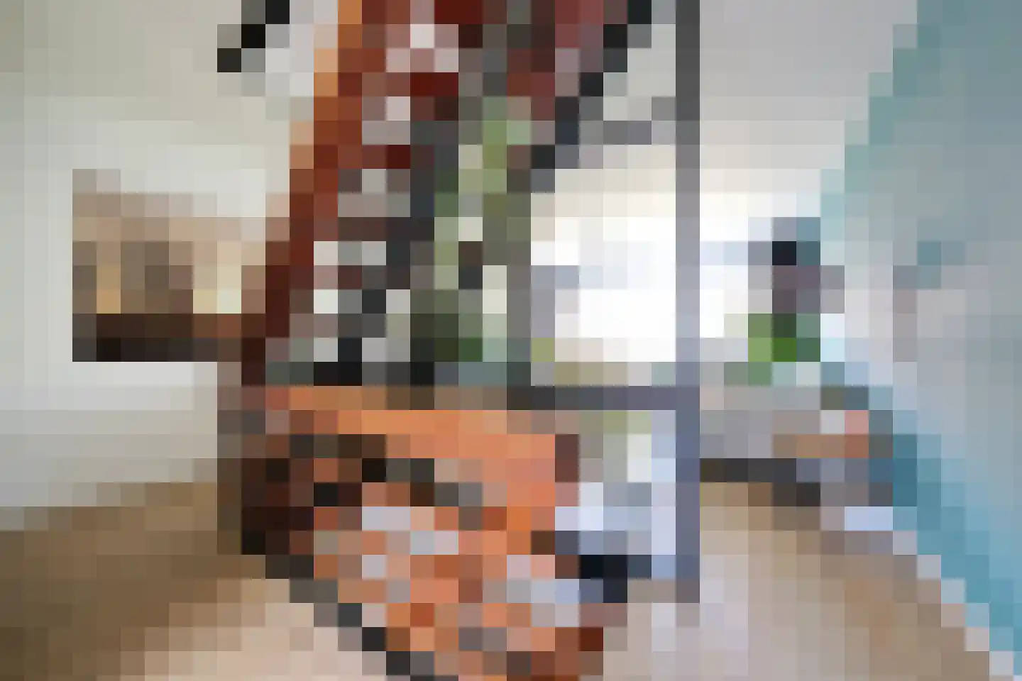 Katenhorst 24 Ede thumbnail 13