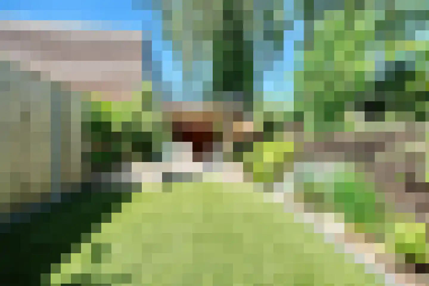 Katenhorst 24 Ede thumbnail 6