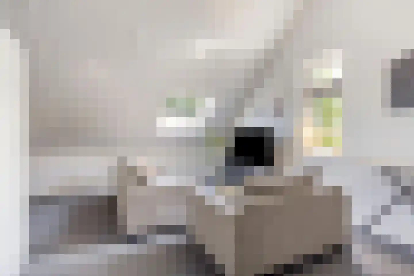 Katenhorst 39 Ede thumbnail 30