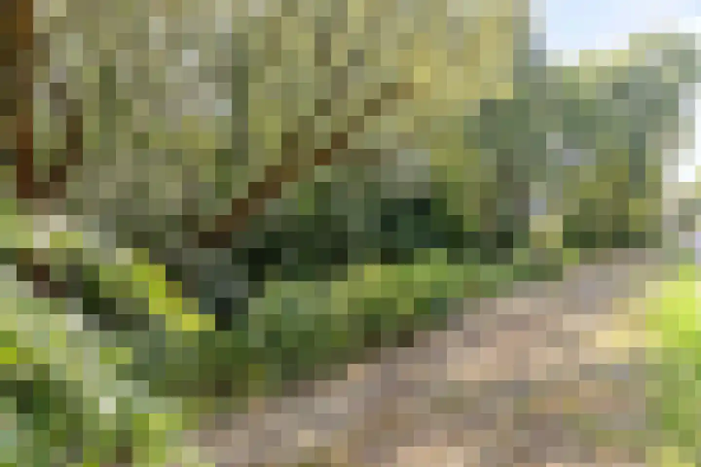 Katenhorst 39 Ede thumbnail 36