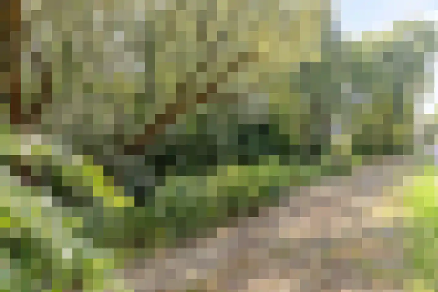 Katenhorst 39 Ede thumbnail 37