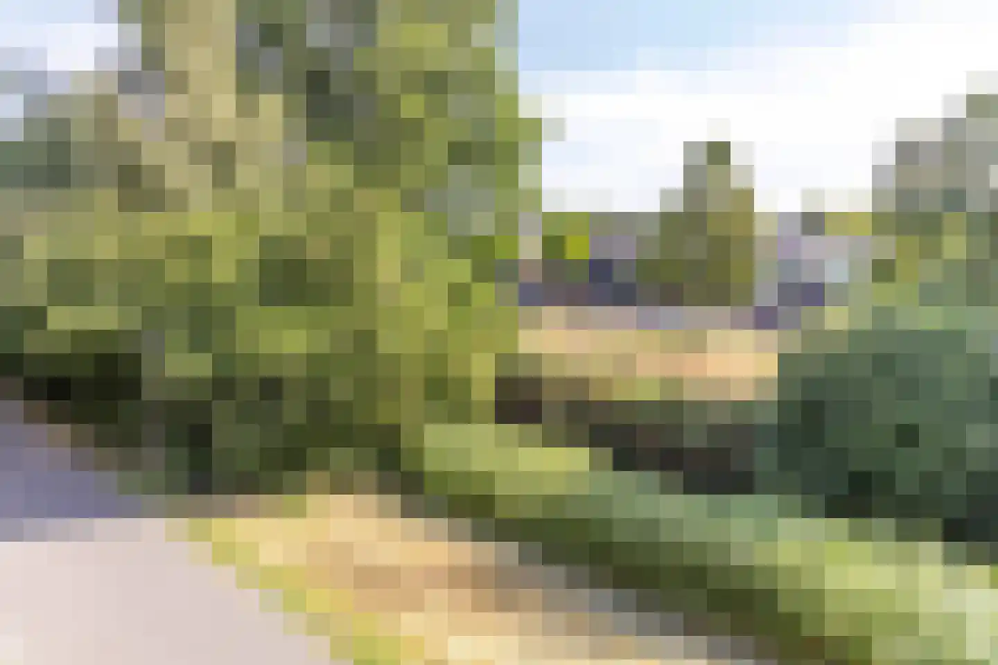 Katenhorst 39 Ede thumbnail 39