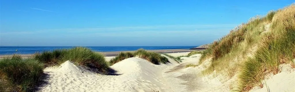 Mannschaftsfoto von Kater Makelaardij