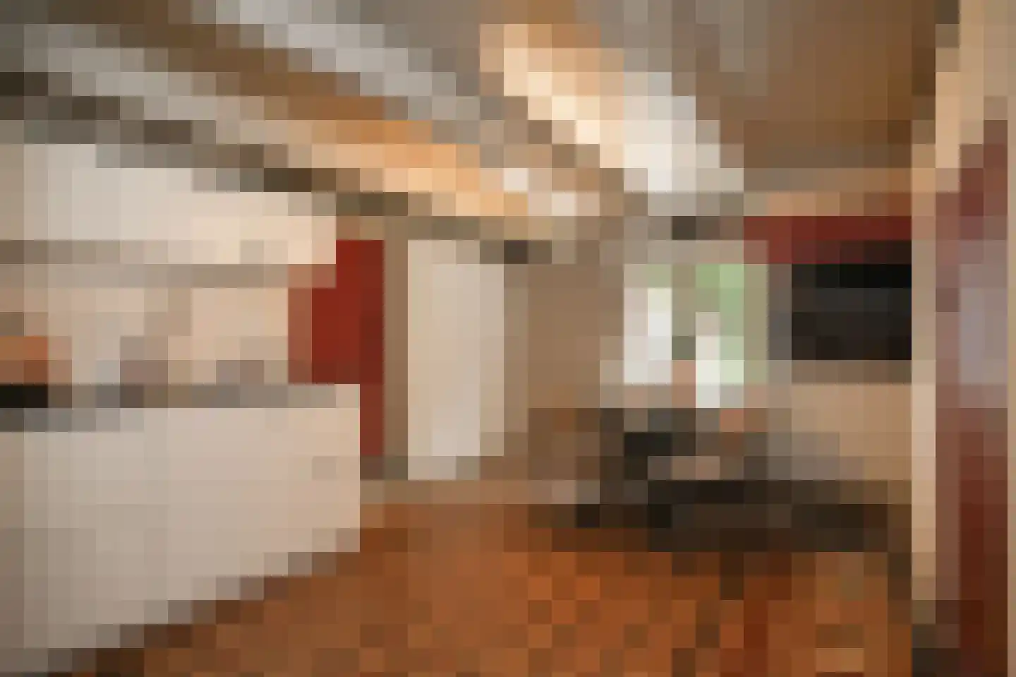 Katerdam 1 Herwijnen thumbnail 18