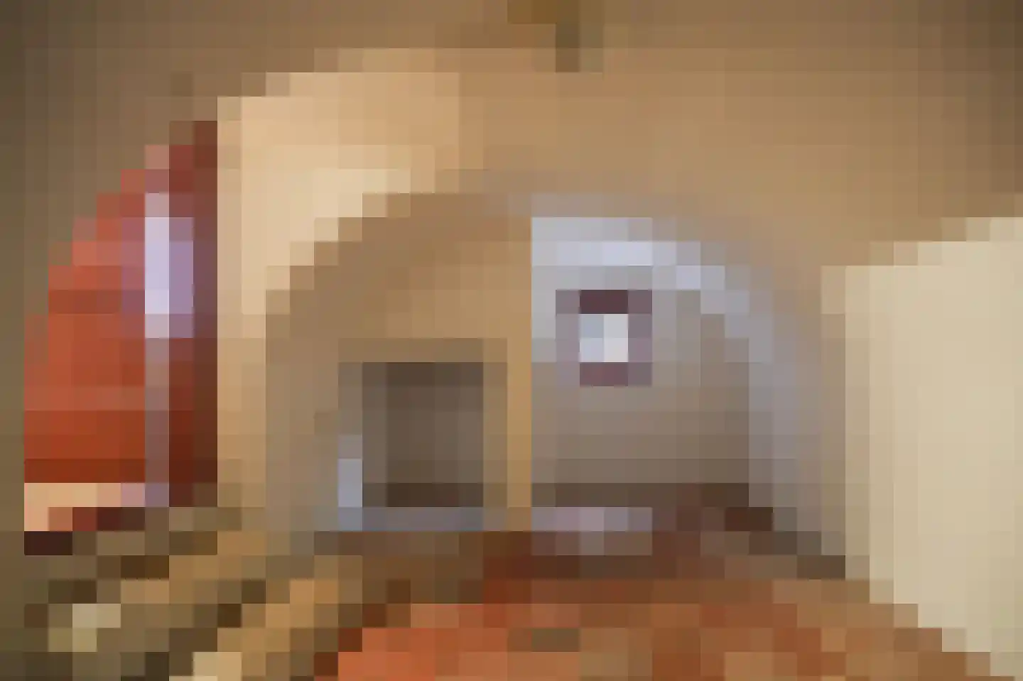 Katerdam 1 Herwijnen thumbnail 21
