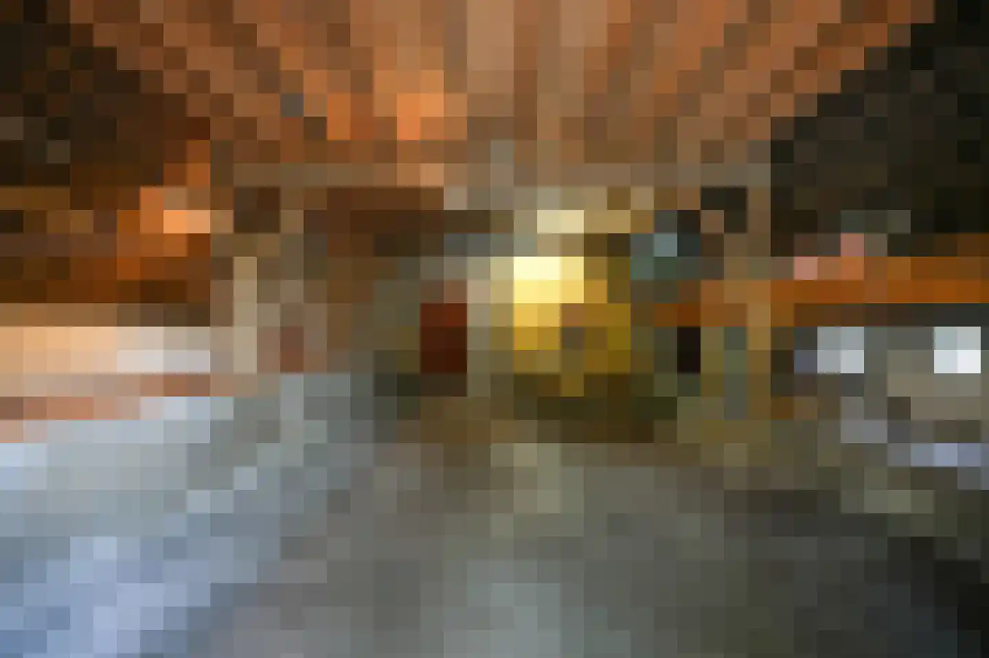 Katerdam 1 Herwijnen thumbnail 27
