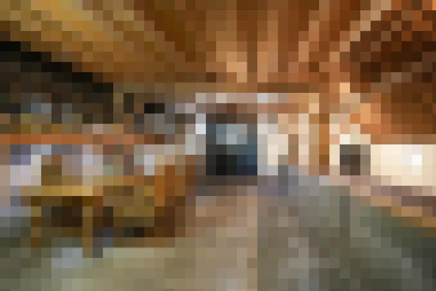 Katerdam 1 Herwijnen thumbnail 28