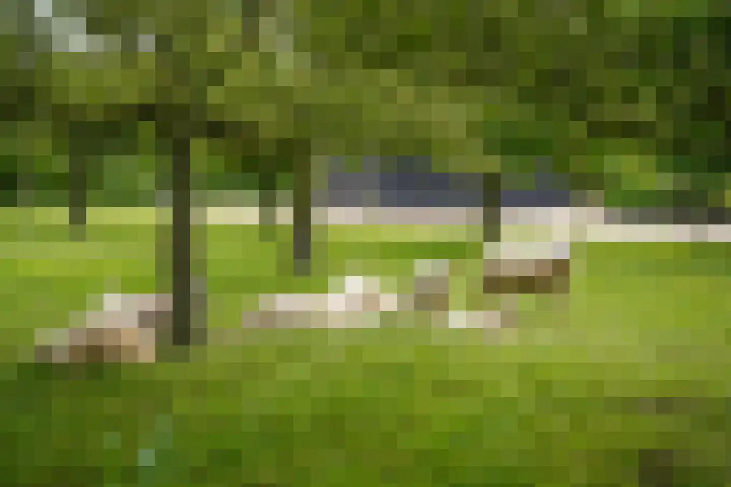 Katerdam 1 Herwijnen thumbnail 30