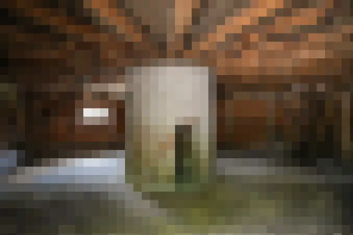 Katerdam 1 Herwijnen thumbnail 32