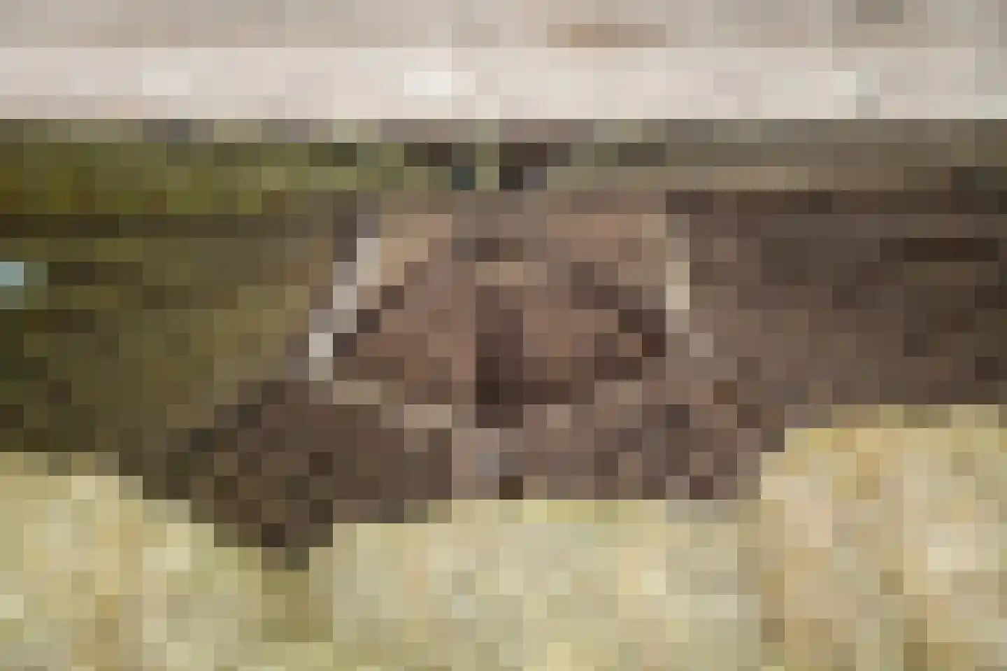Katerdam 1 Herwijnen thumbnail 33