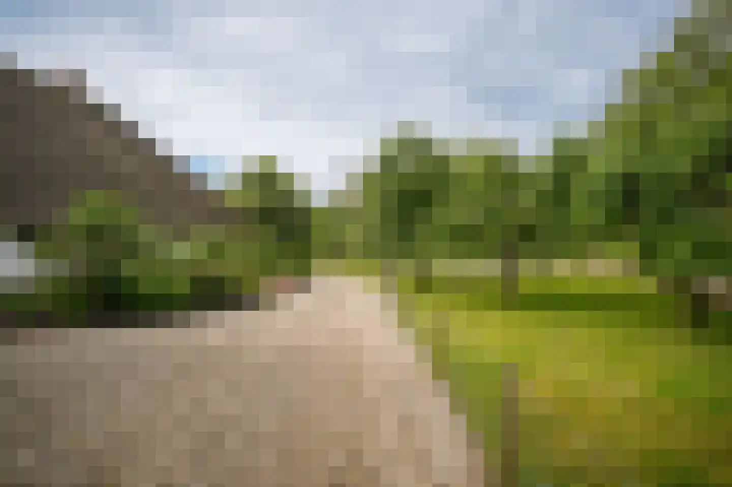 Katerdam 1 Herwijnen thumbnail 34