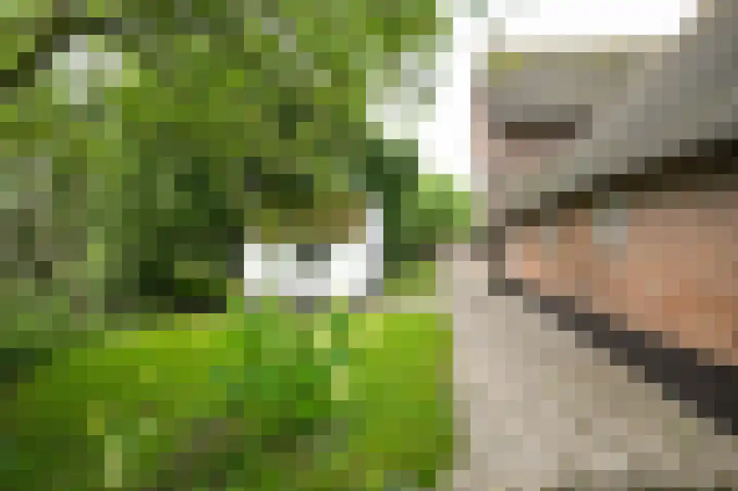 Katerdam 1 Herwijnen thumbnail 38