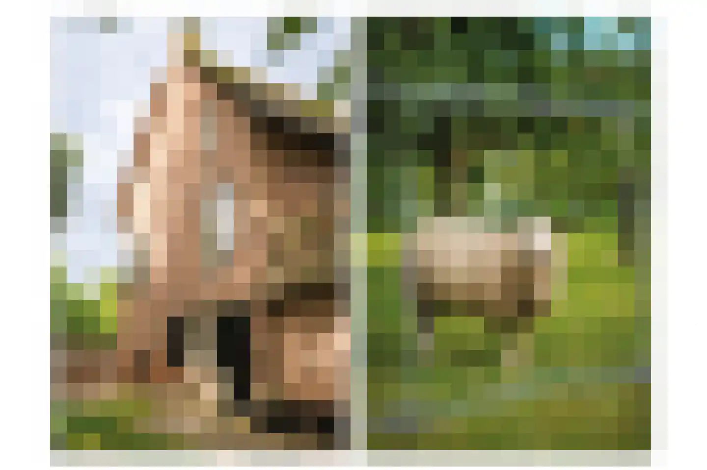 Katerdam 1 Herwijnen thumbnail 39