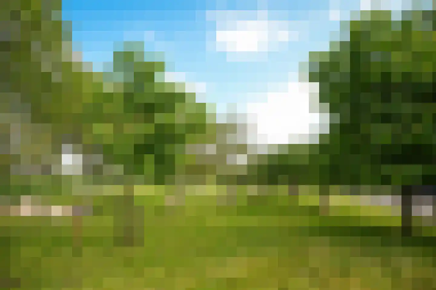 Katerdam 1 Herwijnen thumbnail 40