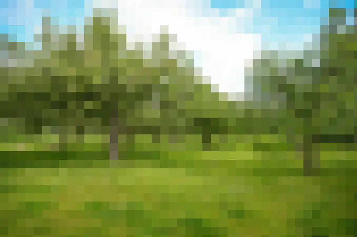 Katerdam 1 Herwijnen thumbnail 41