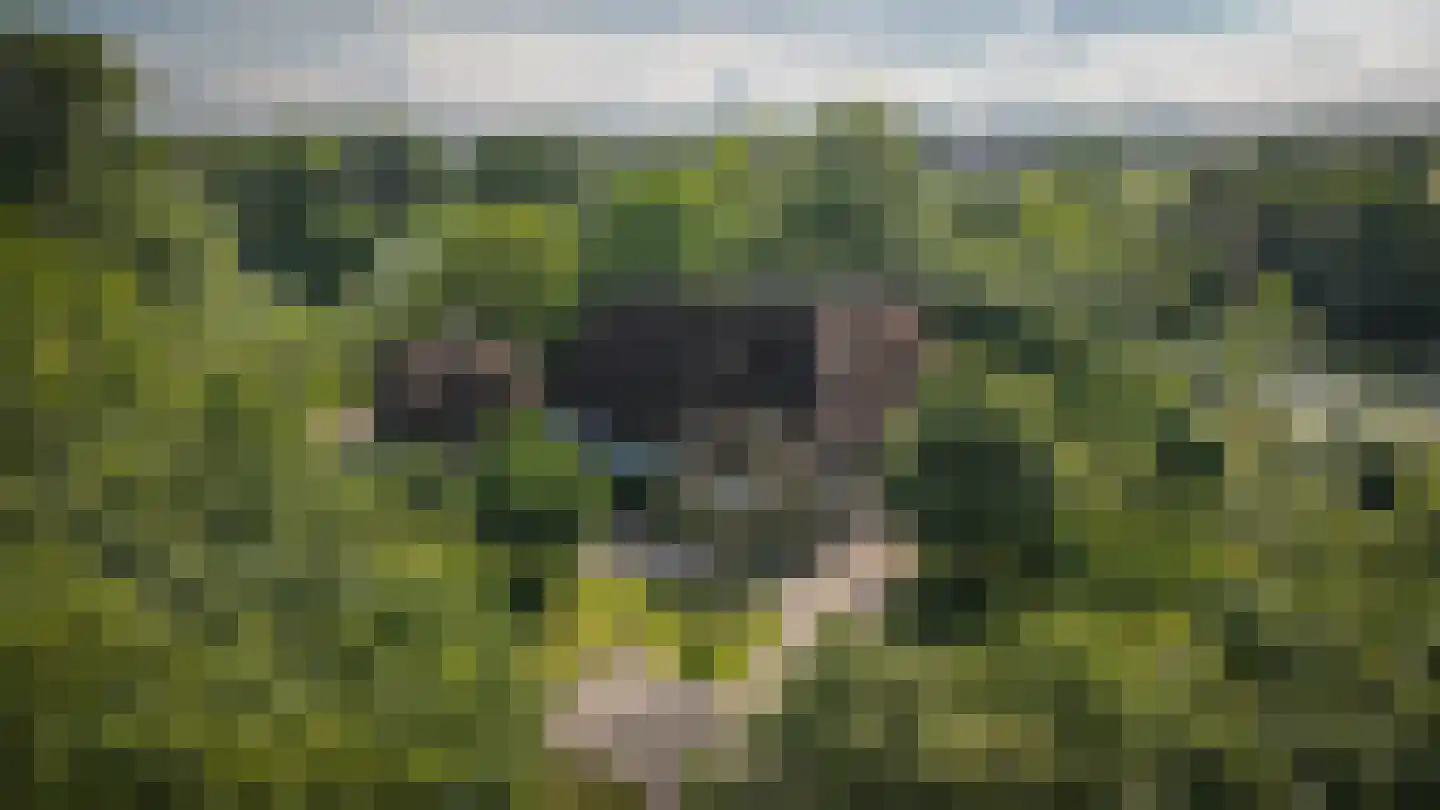 Katerdam 1 Herwijnen thumbnail 42