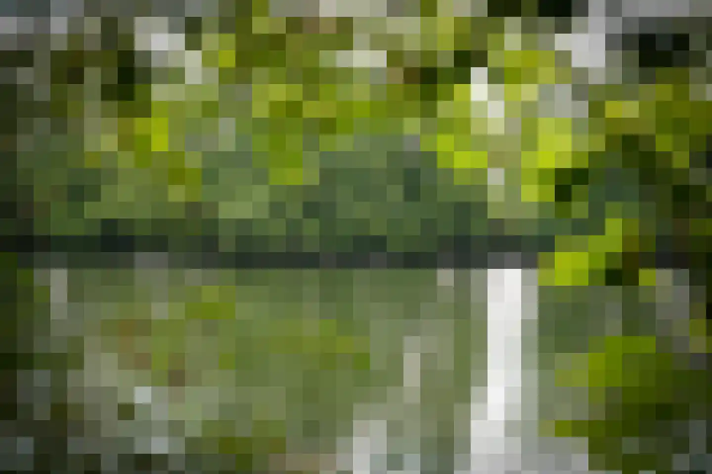 Katerdam 1 Herwijnen thumbnail 43