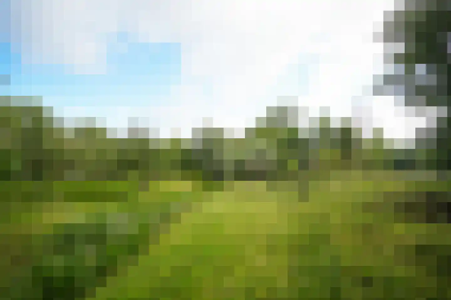 Katerdam 1 Herwijnen thumbnail 45
