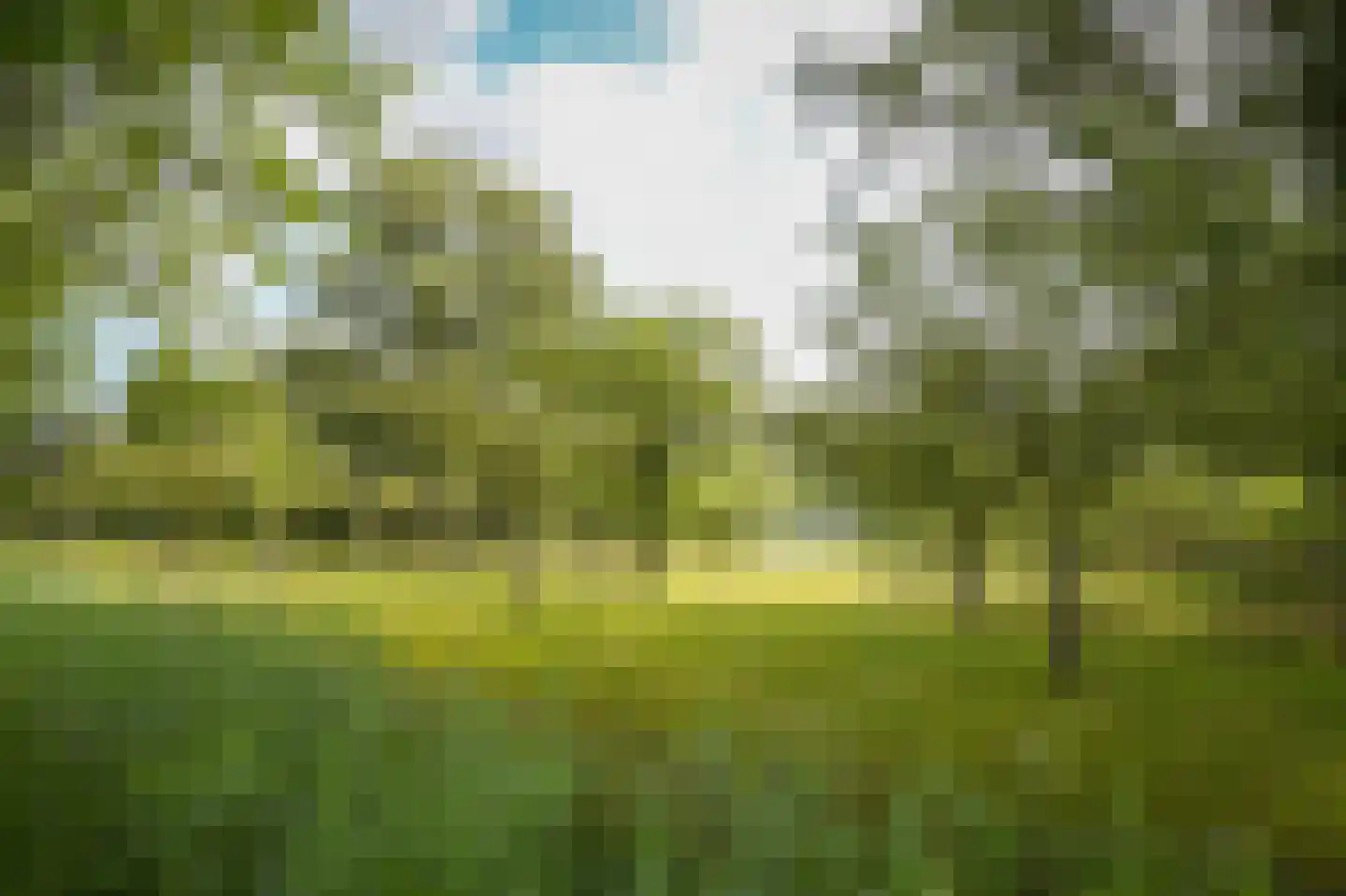 Katerdam 1 Herwijnen thumbnail 47