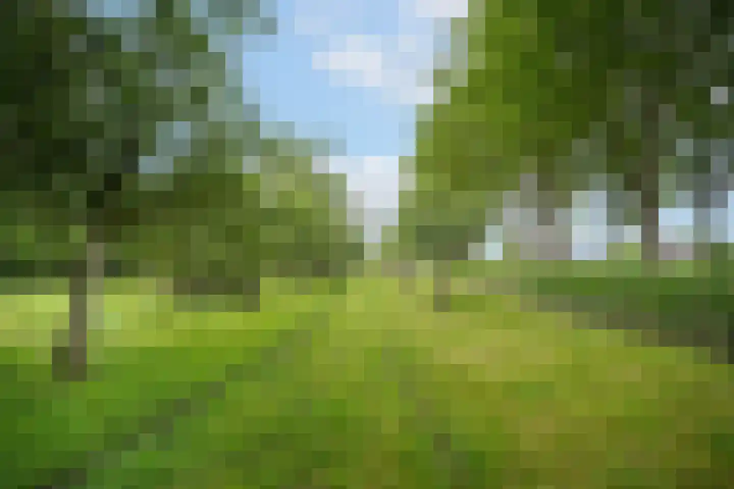 Katerdam 1 Herwijnen thumbnail 48