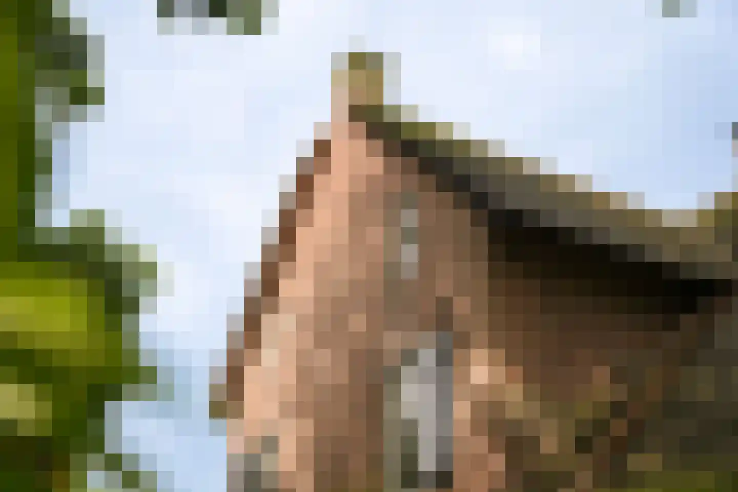Katerdam 1 Herwijnen thumbnail 50