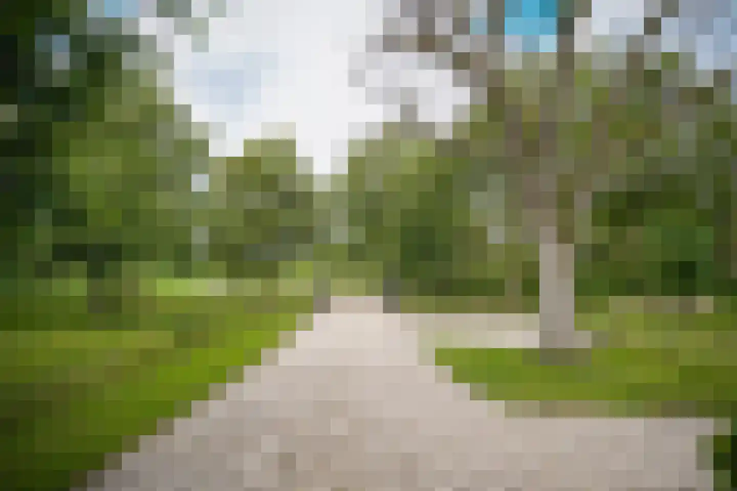 Katerdam 1 Herwijnen thumbnail 52