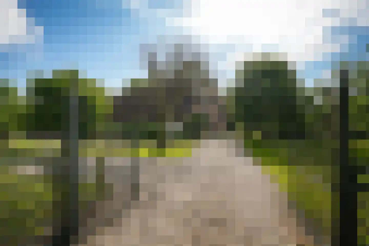 Katerdam 1 Herwijnen thumbnail 53