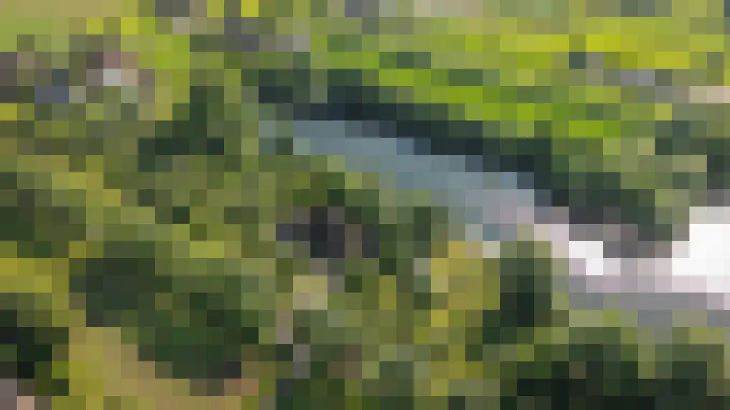 Katerdam 1 Herwijnen thumbnail 54