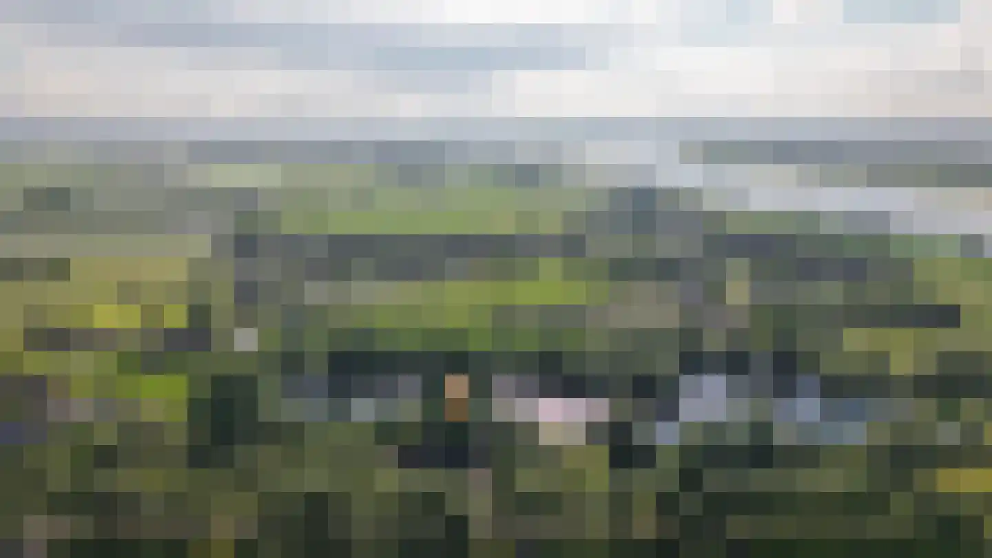 Katerdam 1 Herwijnen thumbnail 55