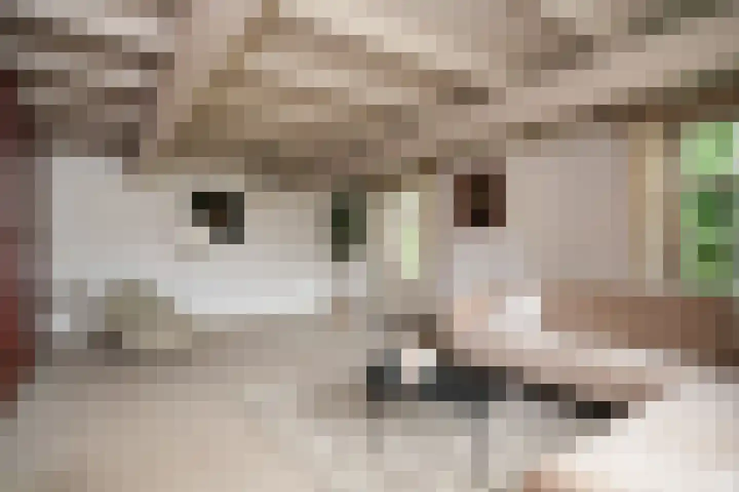 Katerdam 1 Herwijnen thumbnail 8