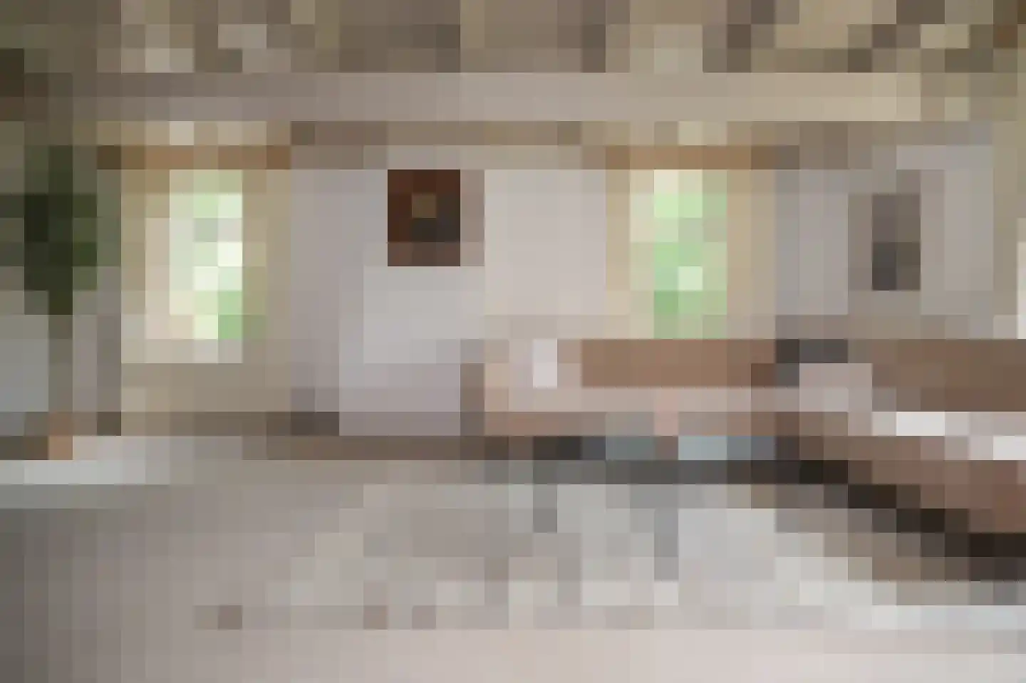 Katerdam 1 Herwijnen thumbnail 9