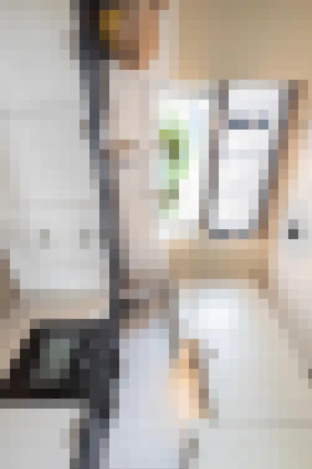 Katerhals 2 Oldekerk thumbnail 16