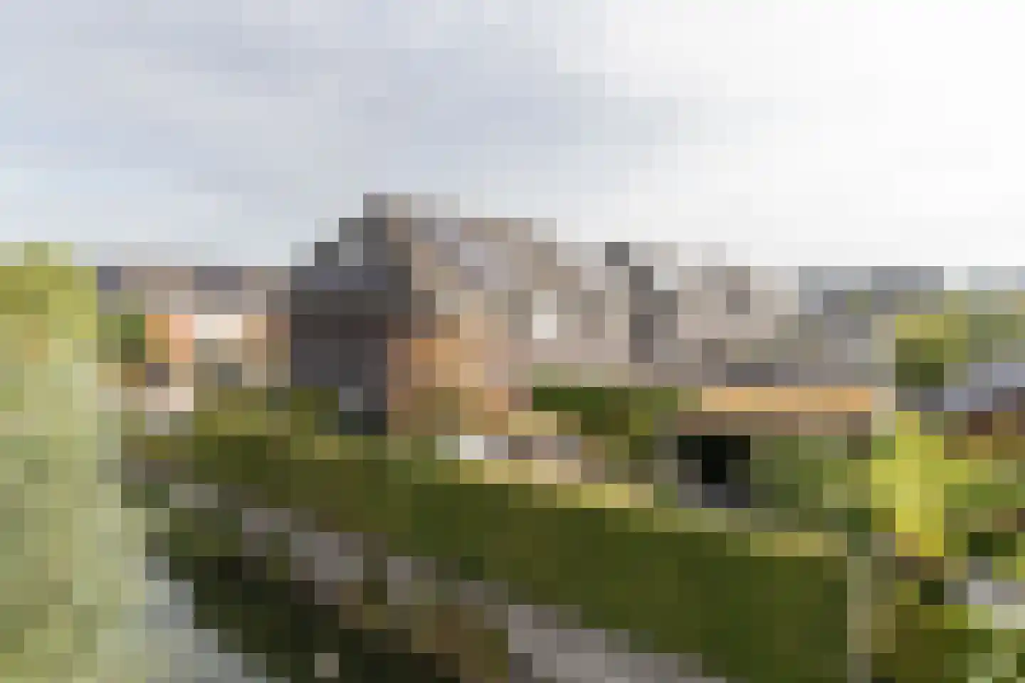 Katerhals 2 Oldekerk thumbnail 24
