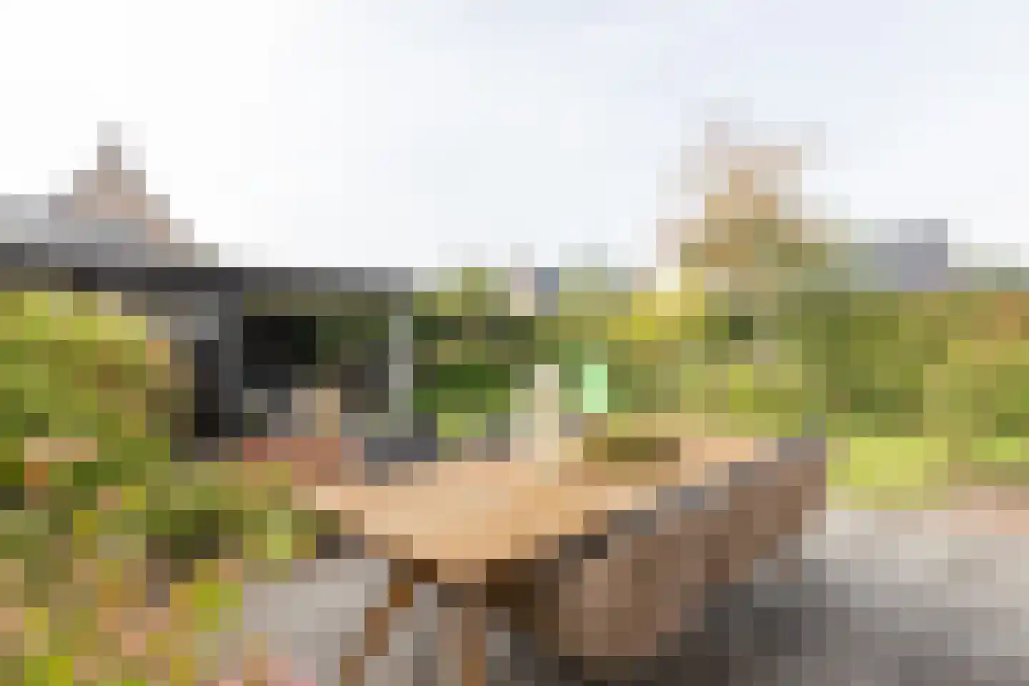 Katerhals 2 Oldekerk thumbnail 4