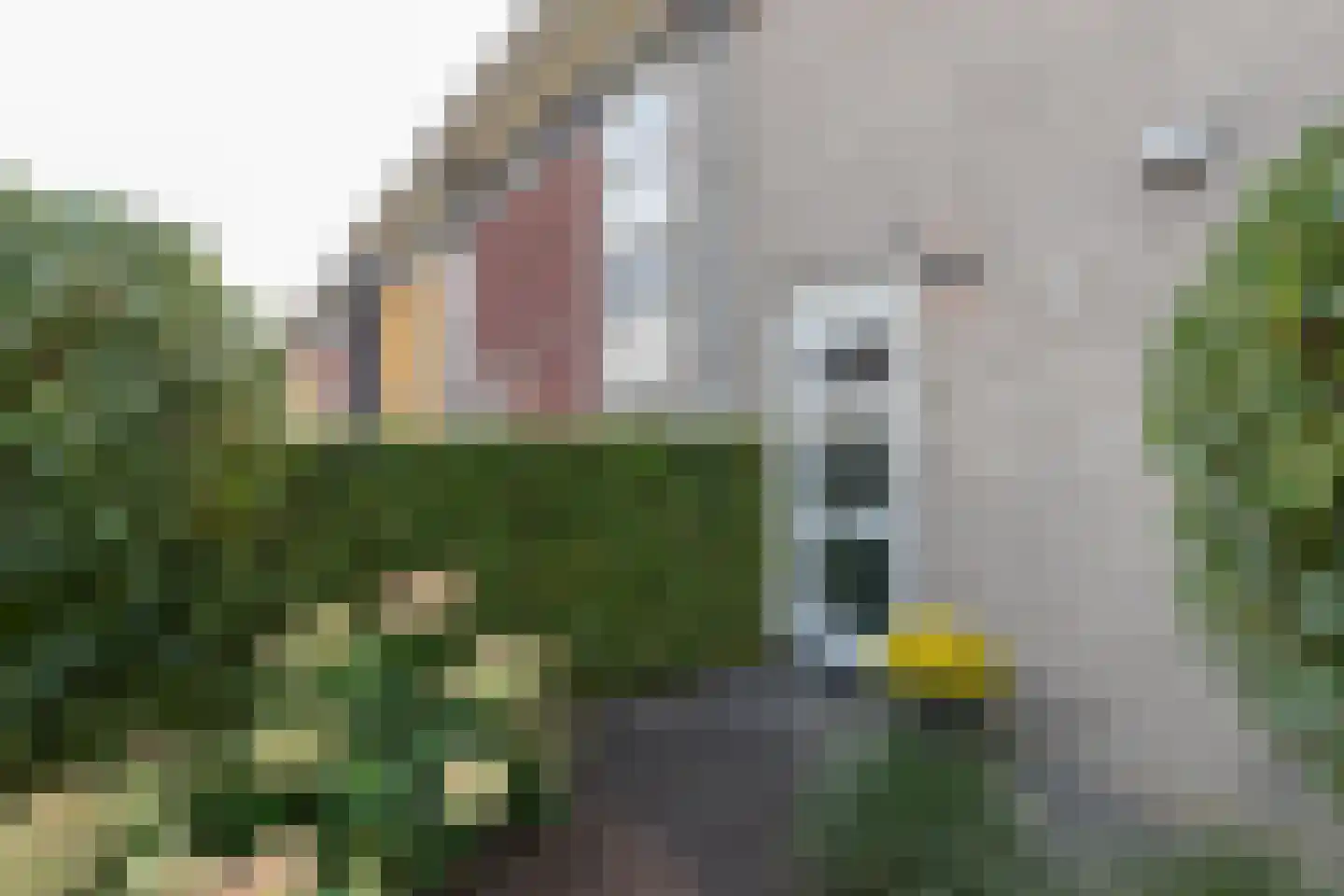 Katerhals 2 Oldekerk thumbnail 44