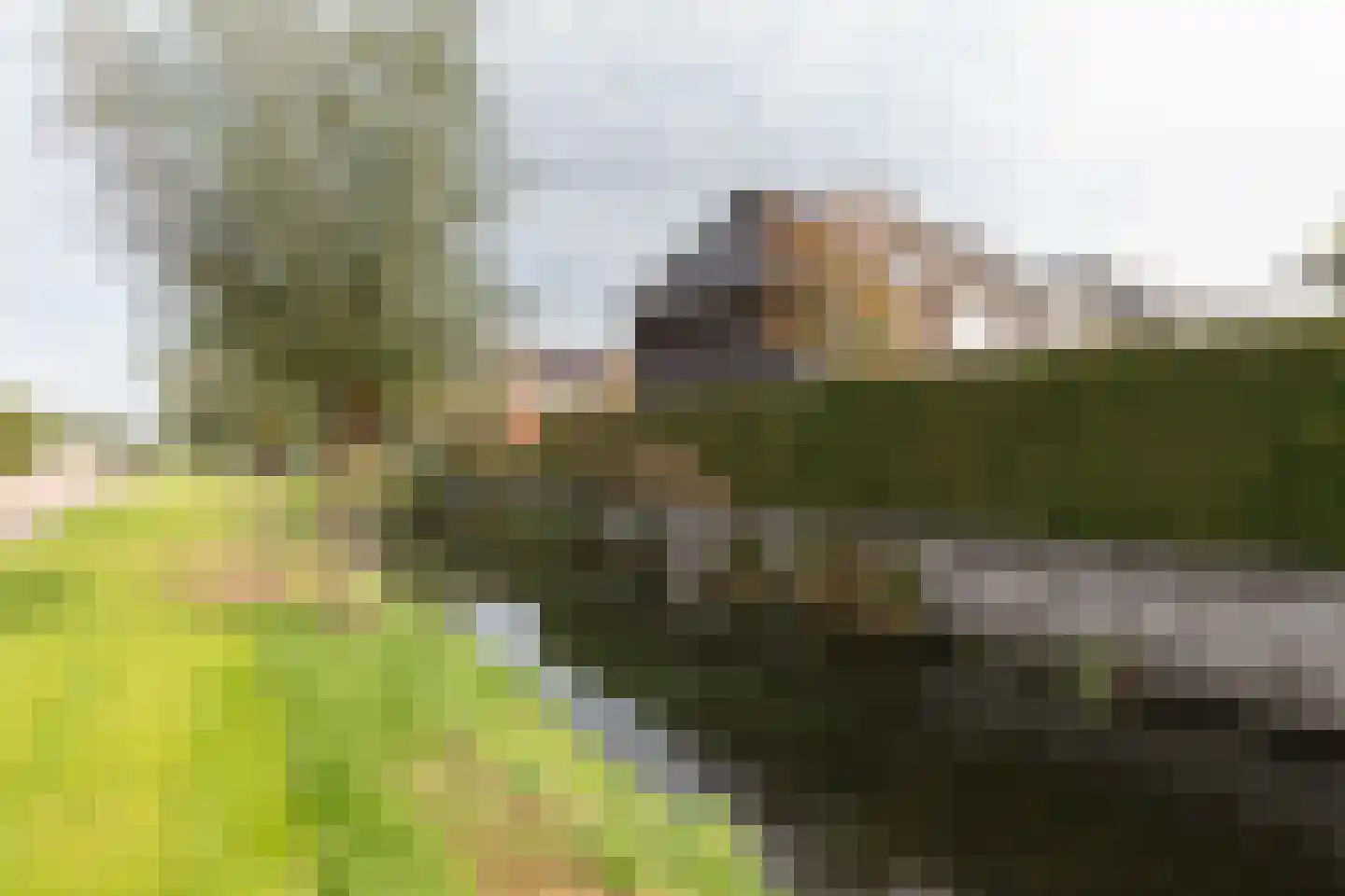 Katerhals 2 Oldekerk thumbnail 49