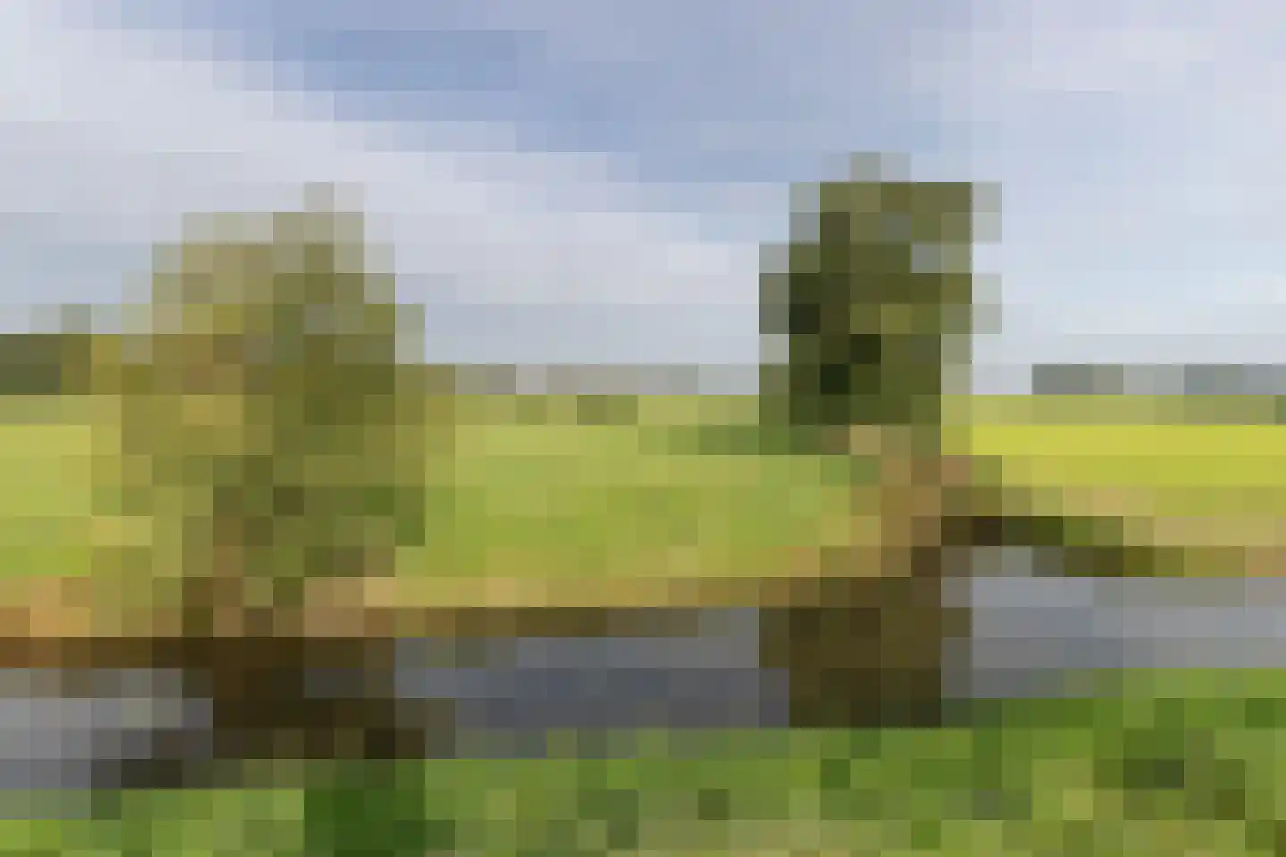 Katerhals 2 Oldekerk thumbnail 50