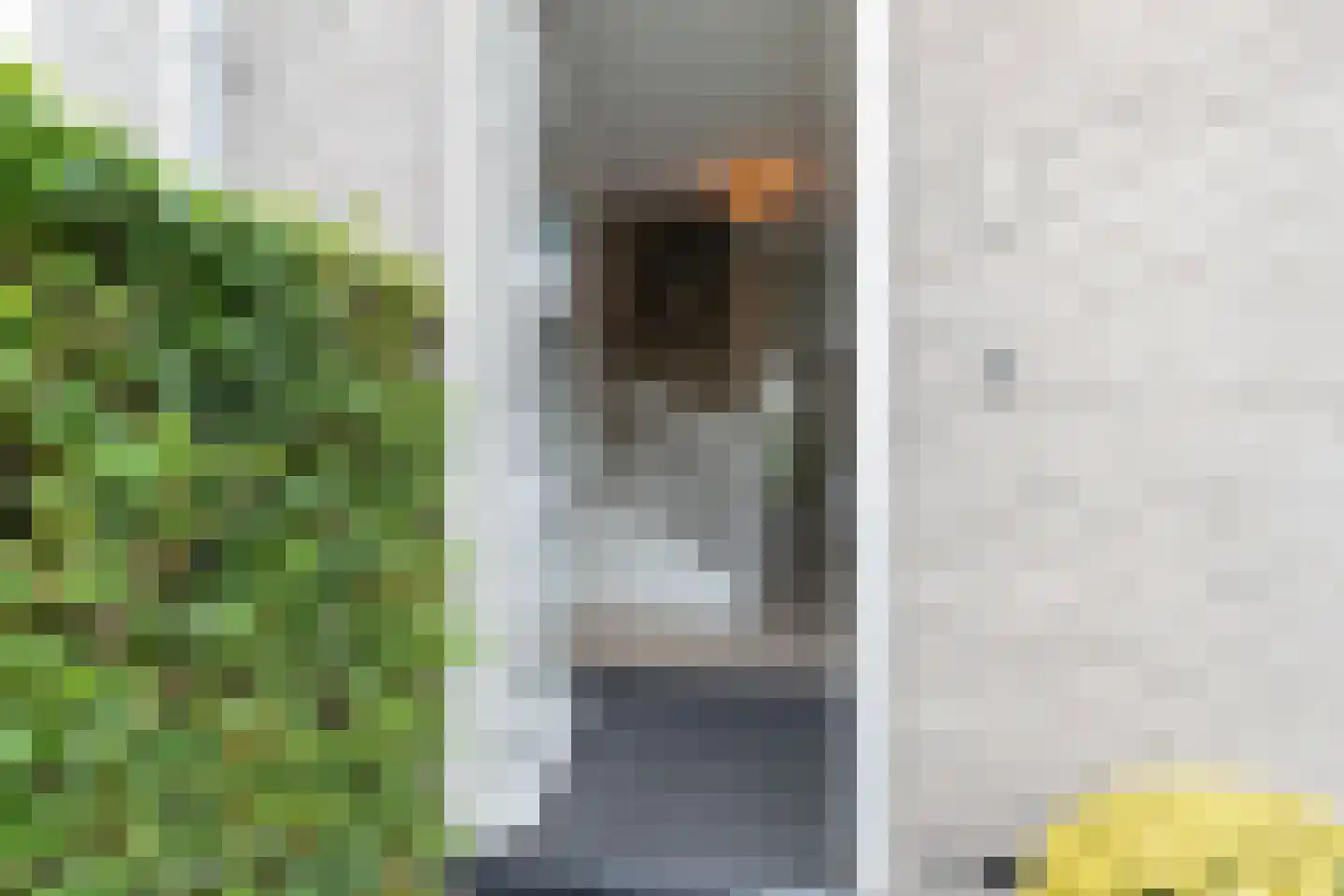 Katerhals 2 Oldekerk thumbnail 8