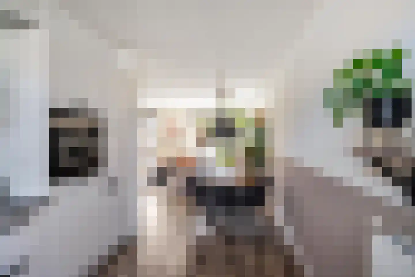 Katerhals 6 Oldekerk thumbnail 12