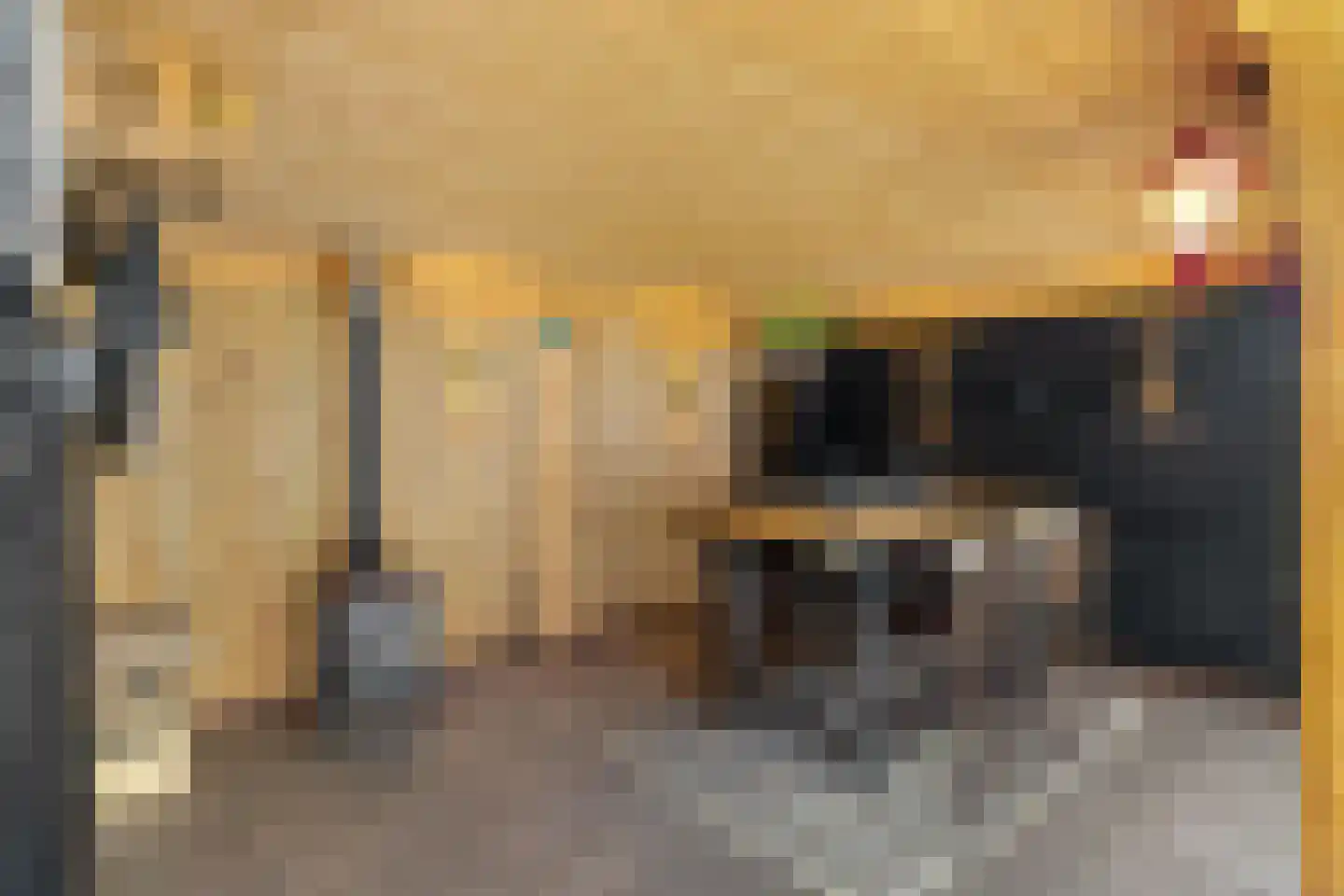 Katerhals 6 Oldekerk thumbnail 16