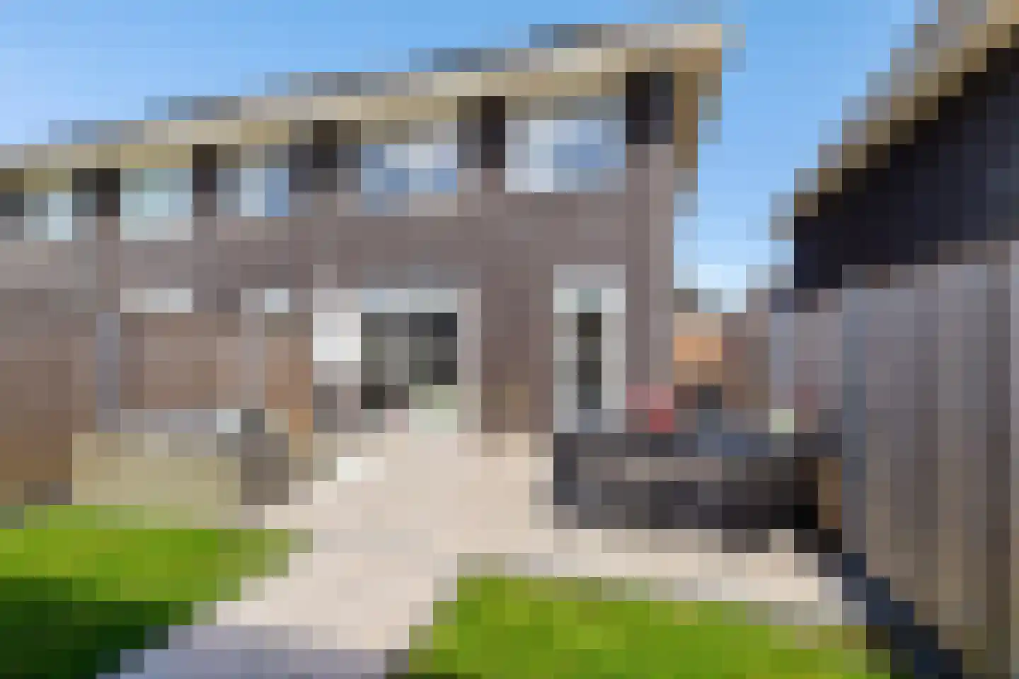 Katerhals 6 Oldekerk thumbnail 18