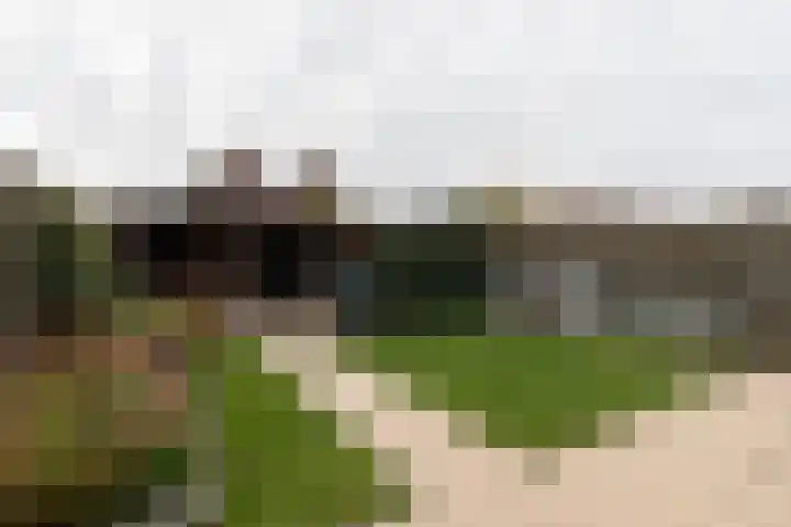 Katerhals 8 Oldekerk thumbnail 14