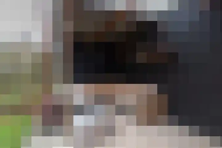 Katerhals 8 Oldekerk thumbnail 16