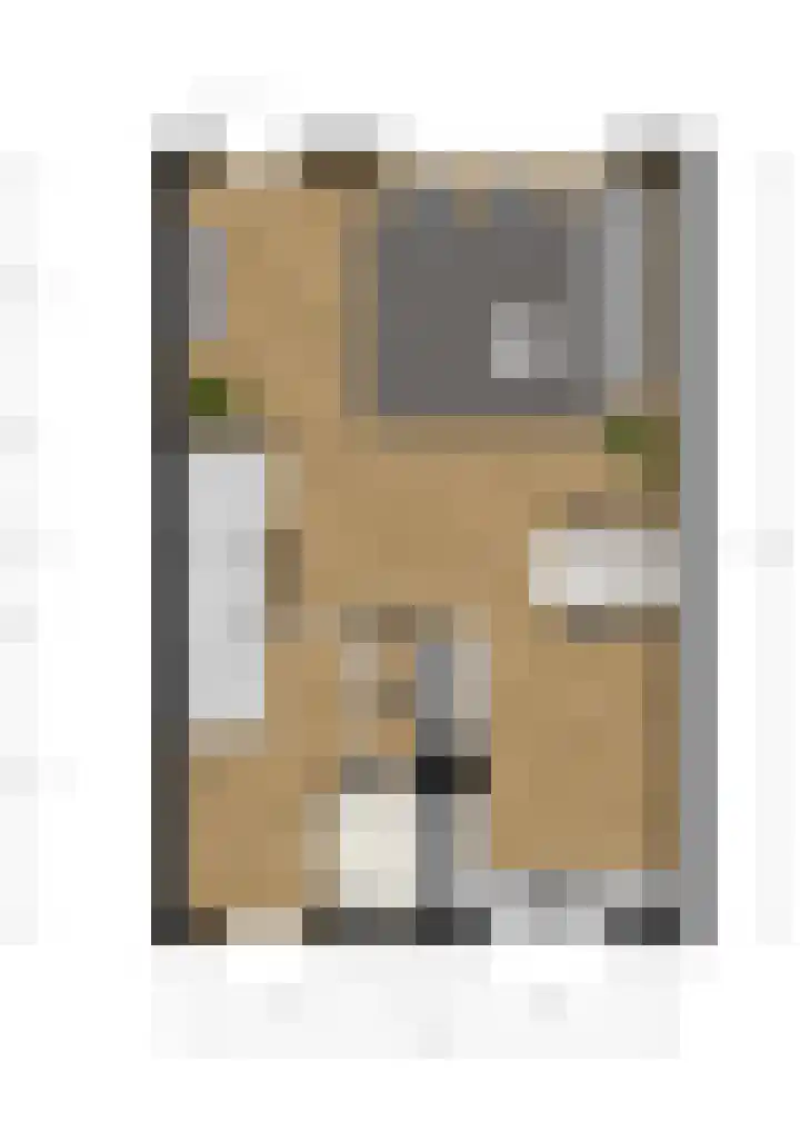 Katerhals 8 Oldekerk thumbnail 32