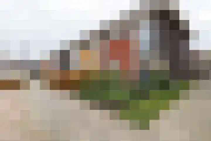Katerhals 8 Oldekerk thumbnail 4