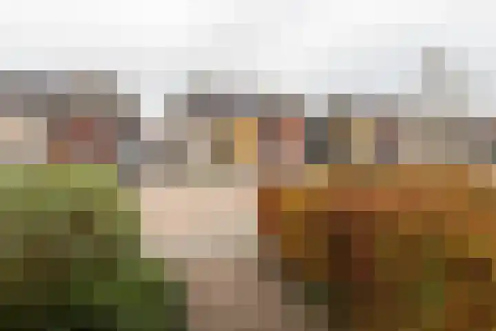 Katerhals 8 Oldekerk thumbnail 6