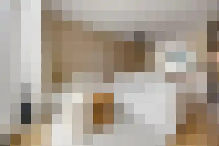 Katerskamp 55 Voorthuizen thumbnail 14