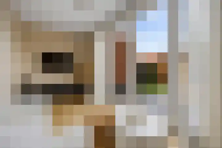 Katerskamp 55 Voorthuizen thumbnail 15